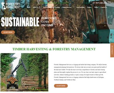 Web Design Portfolio Examples CO